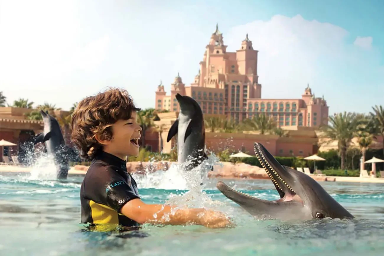 Swimming with Dolphins Dubai